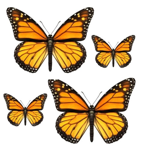 Set aufkleber sticker - 4x,