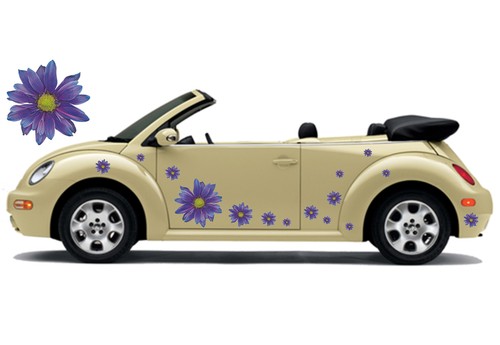 Auto aufkleber set - set, hibiskus