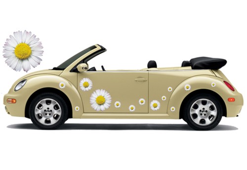 Auto aufkleber set - auto, hibiskus